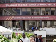 Harvard "kết thân" với các TikToker về sức khỏe tinh thần